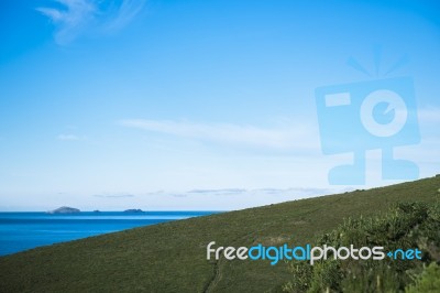 View Of Bruny Island Beach In The Late Afternoon Stock Photo