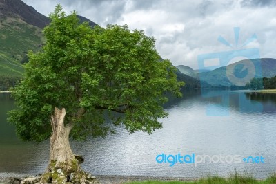 View Of Buttermere Stock Photo