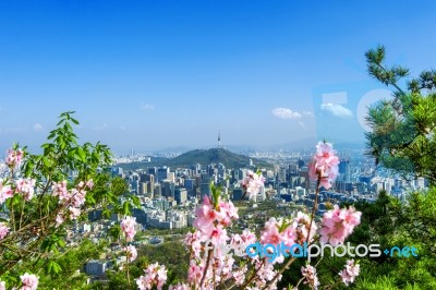 View Of Cityscape And Seoul Tower In Seoul, South Korea. Autumn Stock Photo