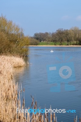 View Of Kneppmill Lake On A Sunny Spring Day Stock Photo