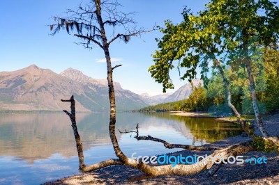 View Of Lake Mcdonald In Montana Stock Photo