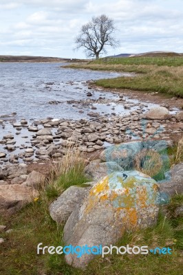 View Of Lochindorb Stock Photo