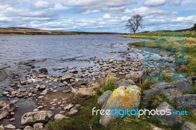 View Of Lochindorb Stock Photo