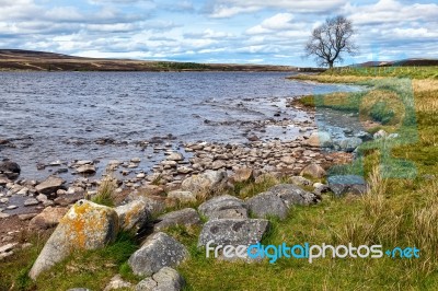 View Of Lochindorb Stock Photo