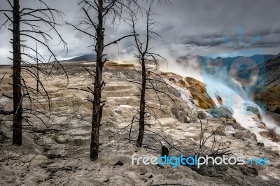 View Of Mammoth Hot Springs Stock Photo