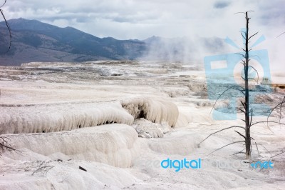 View Of Mammoth Hot Springs Stock Photo