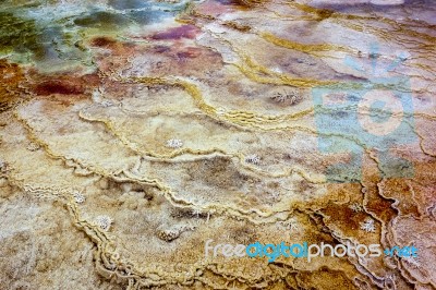 View Of Mammoth Hot Springs Stock Photo