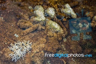 View Of Mammoth Hot Springs Stock Photo