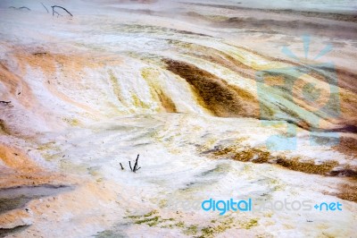 View Of Mammoth Hot Springs Stock Photo