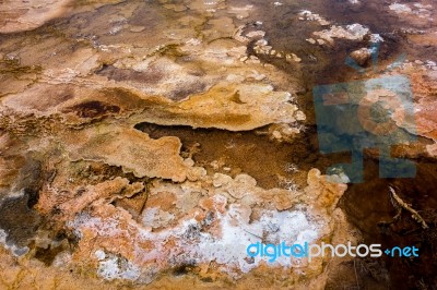 View Of Mammoth Hot Springs Stock Photo