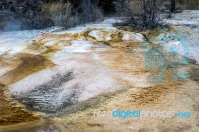 View Of Mammoth Hot Springs Stock Photo