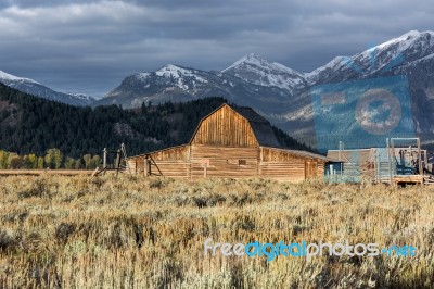 View Of Mormon Row Near Jackson Wyoming Stock Photo