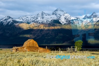 View Of Mormon Row Near Jackson Wyoming Stock Photo