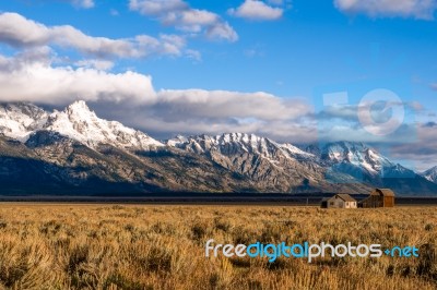 View Of Mormon Row Near Jackson Wyoming Stock Photo