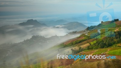 View Of Mountain Road And Fog Stock Photo