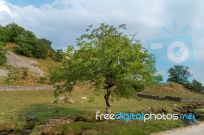 View Of The Countryside Around Malham Cove In The Yorkshire Dale… Stock Photo