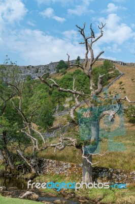 View Of The Countryside Around Malham Cove In The Yorkshire Dale… Stock Photo