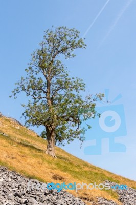 View Of The Countryside Around The Village Of Conistone In The Y… Stock Photo