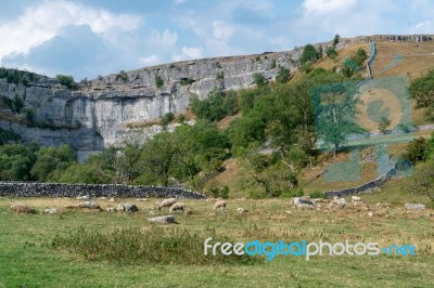 View Of The Curved Cliff At Malham Cove In The Yorkshire Dales N… Stock Photo