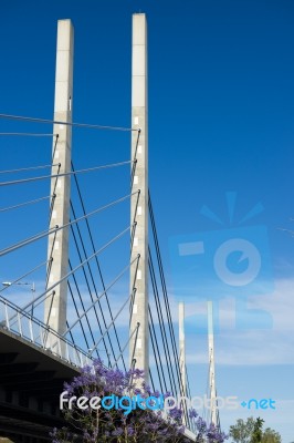 View Of The Eleanor Schonell Bridge Stock Photo