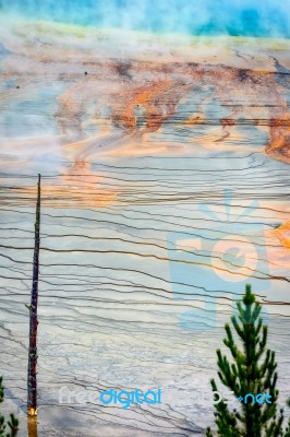 View Of The Grand Prismatic Spring Stock Photo