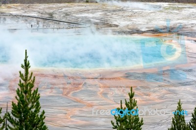 View Of The Grand Prismatic Spring In Yellowstone Stock Photo