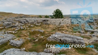 View Of The Limestone Pavement Above Malham Cove In The Yorkshir… Stock Photo