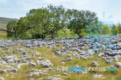 View Of The Limestone Pavement Near The Village Of Conistone In Stock Photo