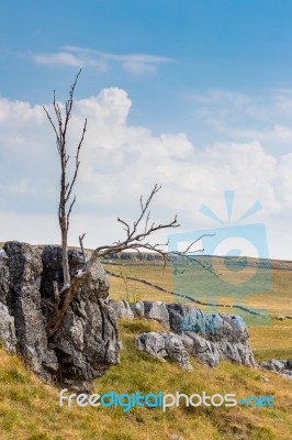 View Of The Limestone Pavement Near The Village Of Conistone In Stock Photo