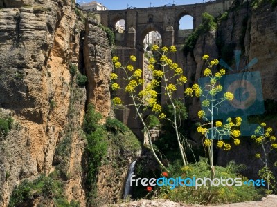 View Of The New Bridge In Ronda Stock Photo