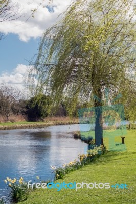 View Of The River Test In Hampshire Stock Photo