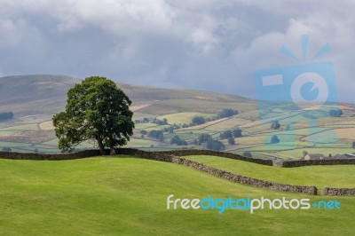 View Of The Rolling Hills In The Yorkshire Dales National Park N… Stock Photo