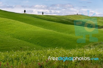 View Of The Scenic Tuscan Countryside Stock Photo