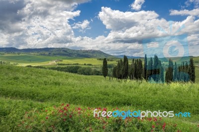 View Of The Scenic Tuscan Countryside Stock Photo