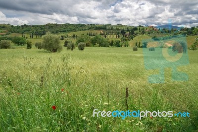 View Of The Scenic Tuscan Countryside Stock Photo