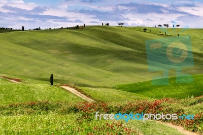 View Of The Scenic Tuscan Countryside Stock Photo