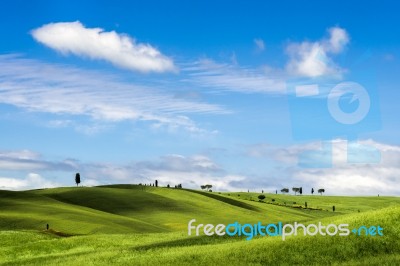 View Of The Scenic Tuscan Countryside Stock Photo