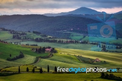 View Of Val D'orcia In Tuscany Stock Photo