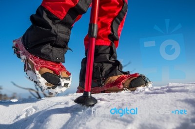 View Of Walking On Snow With Snow Shoes And Shoe Spikes In Winte… Stock Photo