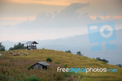 
View, Scenery, Evening Stock Image