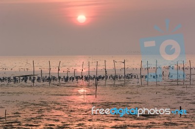 View Sea Sunset For Background Stock Photo