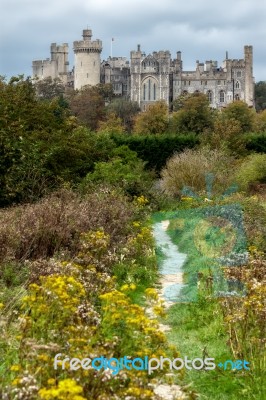 View Up To Arundel Castle Stock Photo