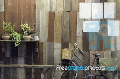 Vintage Bicycle And Small Tree On Old Wood Wall Background Stock Photo