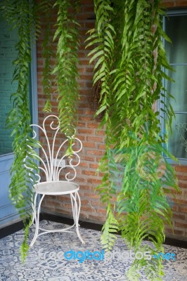 Vintage Chair In The Garden Stock Photo