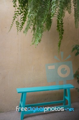 Vintage Green Bench And Hanging Plant Stock Photo