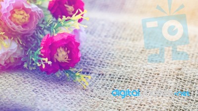 Vintage Of Flowers On Hemp Stock Photo