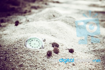 Vintage Pocket Watch On Sand With Pine Nuts Stock Photo