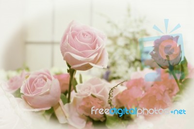 Vintage Valentines Roses Flower Stock Photo