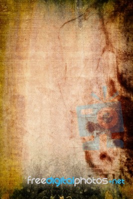 Vintage Wood Wall Texture. Stock Photo