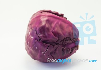 Violet Cabbage  On Wihte Background Stock Photo